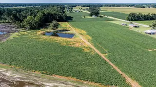 10455 Us Hwy 701 Highway, Newton Grove, NC 28366 – photo 13: 10455-12