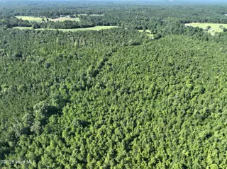 Lot B Carthage Road, West End, NC 27376 – photo 2: DJI_0400