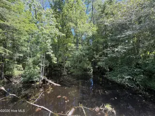 6514 Princess Ann Road, Evergreen, NC 28438 – photo 5: Cow Branch