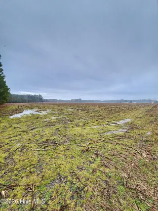 Tbd Ramsey Ford Road, Tabor City, NC 28463 – photo 4: 1