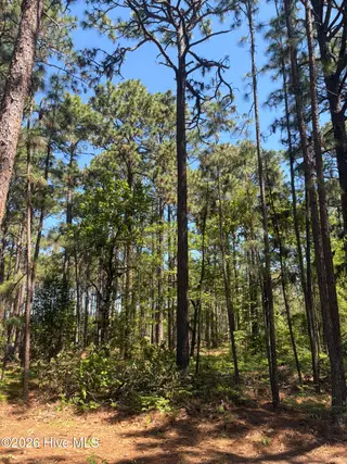 5324 Us 1 Highway, Vass, NC 28394 – photo 22: IMG_0095