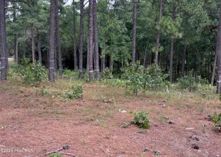 103 402 Haddington Drive, Pinehurst, NC 28374 – photo 13: IMG_5386