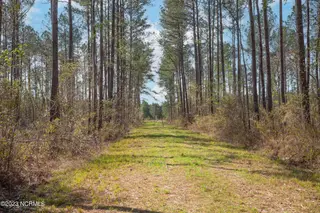 0 Nc-903, Stokes, NC 27884 – photo 20: Stokes Tract 18