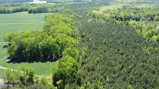Off Speights Chapel Road, Whitakers, NC 27891 – photo 13: DJI_0582