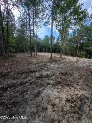 Tbd 2R-3 Peyton Drive, Eagle Springs, NC 27242 – photo 9: PXL_20260707_210805038