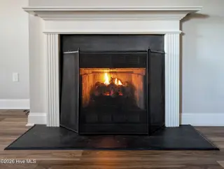 1926 Tara Court 201, Greenville, NC 27858 – photo 6: Fireplace Tara Ct