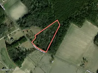 4758 Princess Ann Road, Chadbourn, NC 28431 – photo 1: Aerial 1