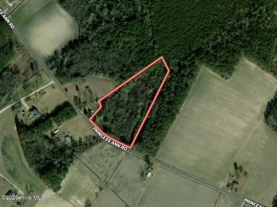 4758 Princess Ann Road, Chadbourn, NC 28431 – photo 1 of 35: Aerial 1