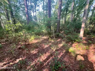 Lot 2 & 3 Strawhorn Creek Road, Aurora, NC 27806 – photo 10: IMG_6858