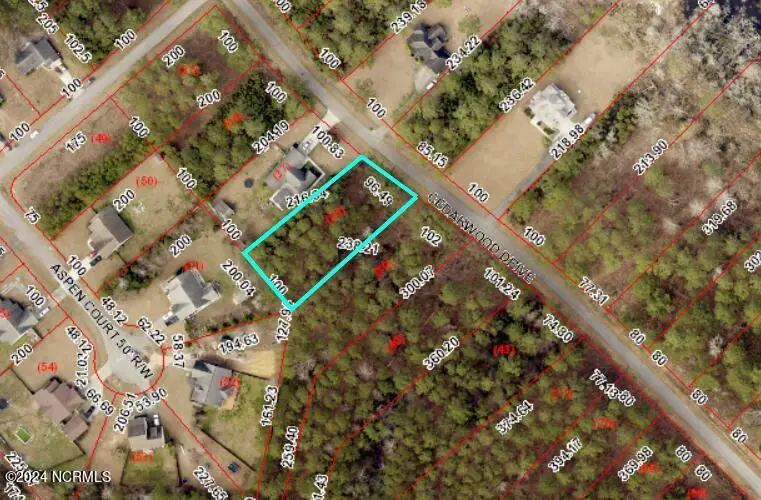 112 Cedarwood, Havelock, NC 28532 – photo 1 of 3: 112 Cedarwood GIS Topo Pic