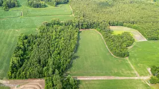 Off Swamp Fox Hwy Highway E, Tabor City, NC 28463 – photo 16: Copy of 6