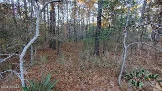 4 Brassie Circle, Jackson Springs, NC 27281 – photo 6: 20241118184221507624000000-o
