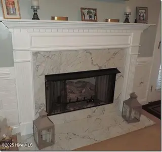 4200 Dewfield Drive N, Wilson, NC 27896 – photo 8: 7 Fireplace