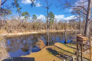 2621 Croomsbridge Road, Burgaw, NC 28425 – photo 14: 2621 croomsbridge rd 00014