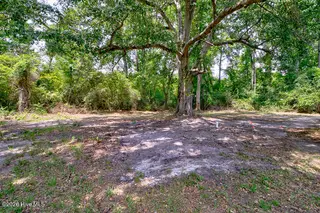 4238 Bell Williams Road, Currie, NC 28435 – photo 24