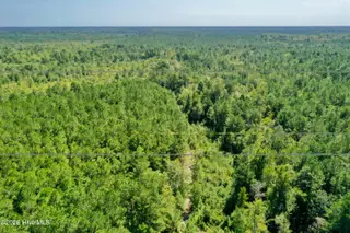 0 Bud Stephens Road, Evergreen, NC 28438 – photo 6: drone 1