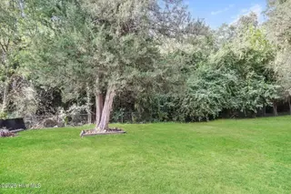 1117 Brownview Drive, Rocky Mount, NC 27801 – photo 20: listing_19