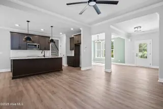 255 White Oak Bluff Road, Stella, NC 28582 – photo 13: 255-WhiteOakBluff-10-1-25-014