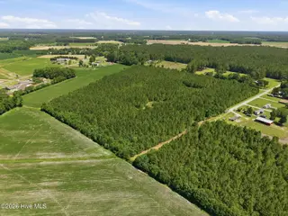 1795 1825 Highway 58 S, Kinston, NC 28501 – photo 17: wooded area