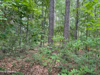 118 66 Ferret Run Lane, New Bern, NC 28562 – photo 6: IMG_7803