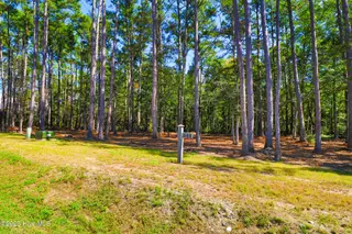 508 Freedom Park Road, Beaufort, NC 28516 – photo 3: 508 Freedom Park Rd