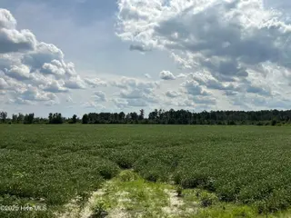 0 Near 685 Rossie Ober Road, Whiteville, NC 28472 – photo 8: IMG_0396