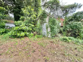 303 S Andrews Avenue, Goldsboro, NC 27530 – photo 18: IMG_9812 3
