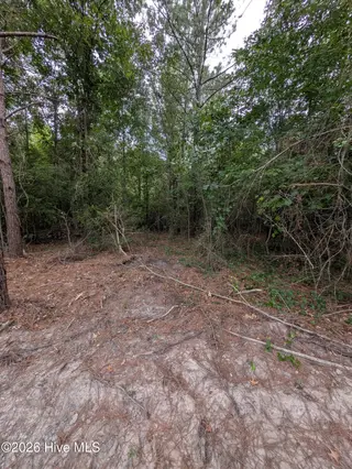 Tbd 2R-3 Peyton Drive, Eagle Springs, NC 27242 – photo 6: PXL_20260707_210723818