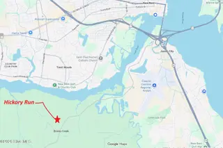 2505 Plover Way, New Bern, NC 28562 – photo 11: location map