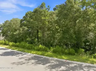 660 Vale Drive, Wilmington, NC 28411 – photo 10: 12-web-or-mls-DJI_20260909115057_0566_D