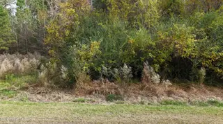 0000 Sr 1100, Blounts Creek, NC 27814 – photo 4: SR 1100 Blount Creek 3