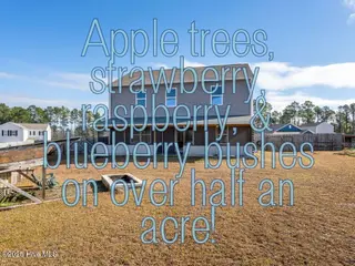 67 Fresh Air Drive, Hampstead, NC 28443 – photo 3: fruit trees