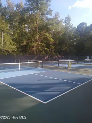 2004 Caracara Drive, New Bern, NC 28560 – photo 20: Pickle Ball Courts