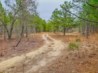 0 Lobelia Road, Vass, NC 28394 – photo 16: 18