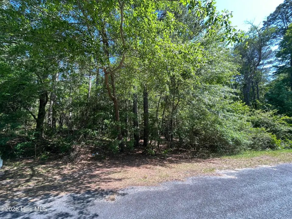 304 Eastman Road, Southern Pines, NC 28387 – photo 1 of 5: Road Front