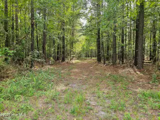 Lot 77 77 Mcgowan Road, Bath, NC 27808 – photo 4: 20250908_152111b
