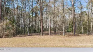 16 Winfield Lane, Pinetown, NC 27865 – photo 2: 0707BD39-72BE-4A25-BE53-F2535173C66C
