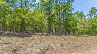 143 4021 Swaringen Drive, Seven Lakes, NC 27376 – photo 7: DJI_20260811125406_0016_D