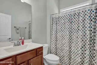 4628 Parsons Mill Drive, Castle Hayne, NC 28429 – photo 20: P2533659