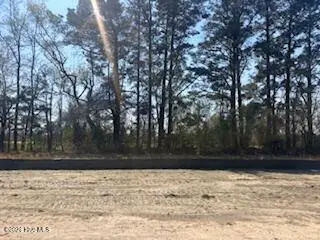 294 Eastwood Drive, Wallace, NC 28466 – photo 3: Backyard view