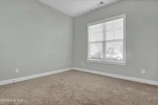 4628 Parsons Mill Drive, Castle Hayne, NC 28429 – photo 18: P2533644