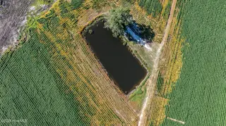 10455 Us Hwy 701 Highway, Newton Grove, NC 28366 – photo 8: 10455-7