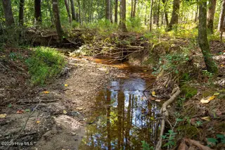 Tbd Dunhams Creek Lane, Carthage, NC 28327 — lot, Carthage, NC, photo 20 of 22