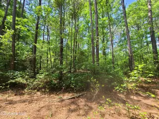 55 55 Mable Street, Kinston, NC 28504 – photo 1: 20260505_125023