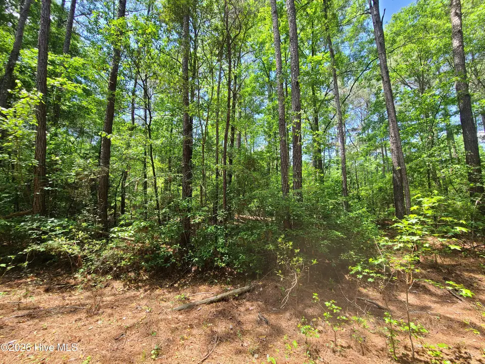 55 55 Mable Street, Kinston, NC 28504 – photo 1 of 3: 20260505_125023