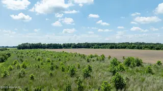 000 Oberry Road, Dudley, NC 28333 – photo 18: 0OberryRd-DudleyNC-18