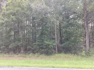 Lot # 33 33 33 Pine Crest Road, Bath, NC 27808 – photo 1: IMG_8544