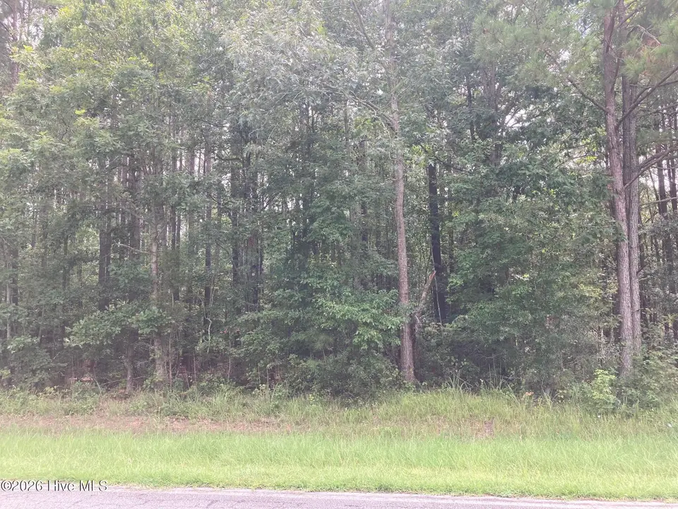 Lot # 33 33 33 Pine Crest Road, Bath, NC 27808 – photo 1 of 7: IMG_8544
