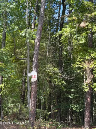 1d Gelding Gap Lane, Carthage, NC 28327 – photo 2: IMG_2196
