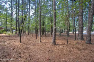 245 Pine Vista Drive, Pinehurst, NC 28374 – photo 6: InteriorFacingRoad1
